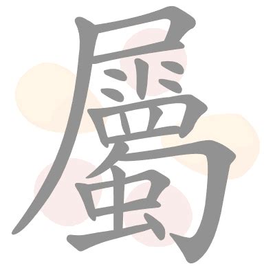 属 meaning|English translation of 属